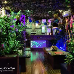 niks-valley-famliy-restrurant-barpeta-road-barpeta-restaurants-ozn95jn9cn-250